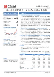 盈利能力显著提升，关注Q4业绩向上弹性