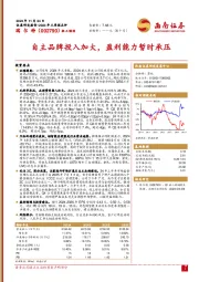 自主品牌投入加大，盈利能力暂时承压