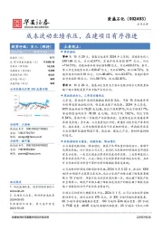 成本波动业绩承压,在建项目有序推进