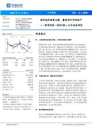 公司动态研究:原料高价拖累业绩,募投项目即将投产