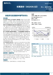志在多元化发展的中国气体巨头