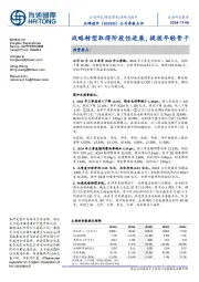 公司季报点评:战略转型取得阶段性进展,提拔年轻骨干