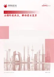业绩阶段承压,静待需求复苏