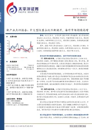 新产业点评报告:中大型仪器占比不断提升,海外市场持续高增
