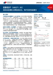 招投标放缓致业绩短期承压，海外保持快速增长