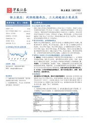 恒立液压:利润短期承压,三大战略助力高成长