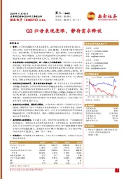 2024年三季报点评：Q3归母表现亮眼，静待需求释放