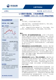 2024年三季报点评报告:Q3提前计提减值,火电经营稳健
