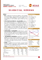 Q3业绩扭亏为盈,经营彰显韧性