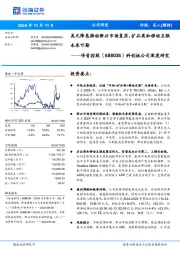 科创板公司深度研究:美元降息推动新兴市场复苏,扩品类和移动互联未来可期