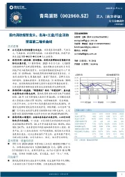 国内消防报警龙头，出海+工业/行业消防塑造第二增长曲线