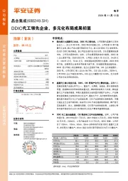 DDIC代工领先企业,多元化布局成果初显