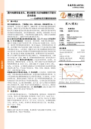 东威科技首次覆盖深度报告：国内电镀设备龙头，复合铜箔+光伏电镀铜打开新兴成长曲线