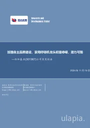 公司深度报告：加强自主品牌建设，家用呼吸机龙头初露峥嵘，潜力可期