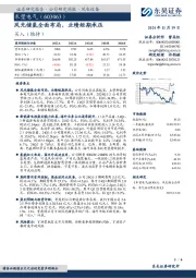 风光储氢全面布局,业绩短期承压