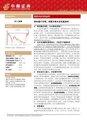 营收稳中有增，鸿蒙及新业务进展顺利