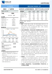 全球化和AI战略双轮驱动，海外平台业务正式启动
