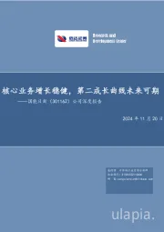 公司深度报告：核心业务增长稳健，第二成长曲线未来可期