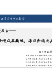 锡业股份深度报告：山以险峻成其巍峨，海以奔涌成其壮阔