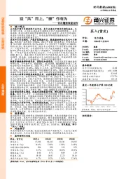 首次覆盖深度报告:迎“风”而上,“振”作有为