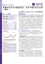 公司深度报告:重整归来内化双胞胎体系,合并可期迈向行业第一梯队