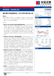 营收增长利润短期承压，多元布局长期价值凸显