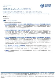 新能源领域扩大低碳脂肪胺需求,电子化学品项目工艺打通