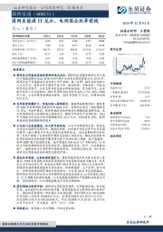 国网系能源IT龙头，电网国企改革前线