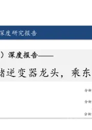 深度报告:光储逆变器龙头,乘东风继续远航