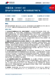 国内油气实现高效稳产,海外资源版图不断扩张