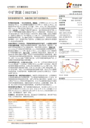 锂铯铷锗锌铜并举，地勘优势打造平台型资源巨头