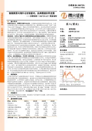 深度报告:智能家居与海外仓双轮驱动,品牌渠道协同发展