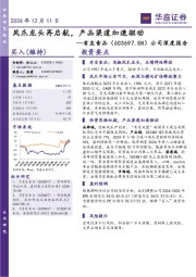 公司深度报告：凤爪龙头再启航，产品渠道加速驱动