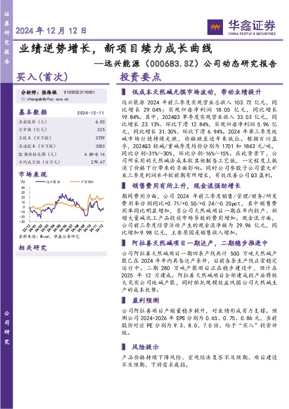 公司动态研究报告：业绩逆势增长，新项目续力成长曲线