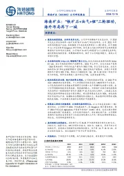 海南矿业:“铁矿石+油气+锂”三轮驱动,海外布局再下一城