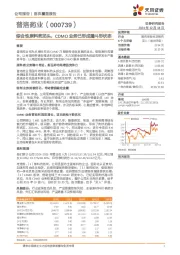 综合性原料药龙头,CDMO业务已形成漏斗形状态