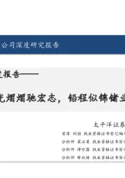 驰宏锌锗深度报告:锌光熠熠驰宏志,铅程似锦锗业兴