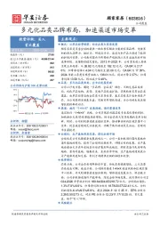 多元化品类品牌布局,加速渠道市场变革