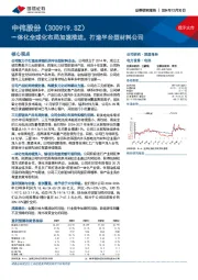 一体化全球化布局加速推进,打造平台型材料公司