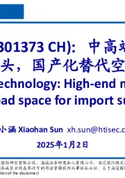 中高端纳米二氧化硅龙头，国产化替代空间广阔