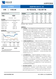 新产能投放期,中期业绩可期