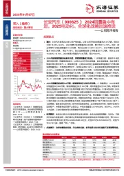 公司简评报告：2024销量稳中有进，2025电动化、全球化战略加速推进