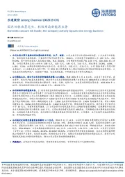 国内凹性油墨龙头,积极布局新能源业务