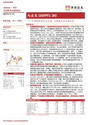 肛肠领域老字号品牌，大健康业务全面加速