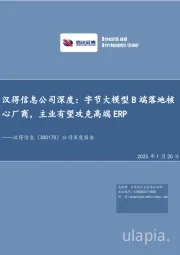 汉得信息公司深度:字节大模型B端落地核心厂商,主业有望攻克高端ERP