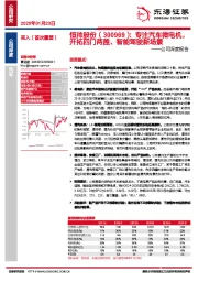 公司深度报告：专注汽车微电机，开拓四门两盖、智能驾驶新场景
