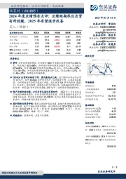 2024年度业绩预告点评：业绩短期承压出货有所放缓，2025年有望逐步改善