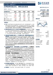 品牌焕新渠道求变，静待成效显现