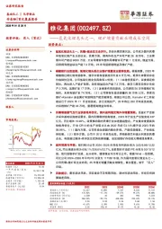 氢氧化锂龙头之一,锂矿增量贡献业绩成长空间