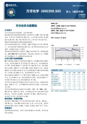 万华化学月报跟踪